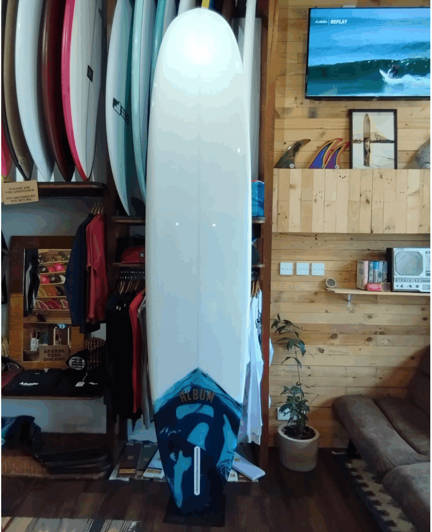 9'4 KOOKALOG TINT